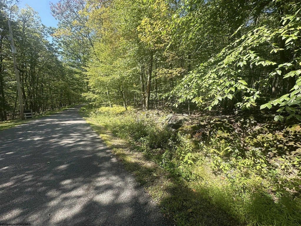Picture 17