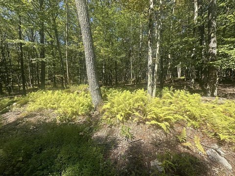 LAND - Terra Alta, WV