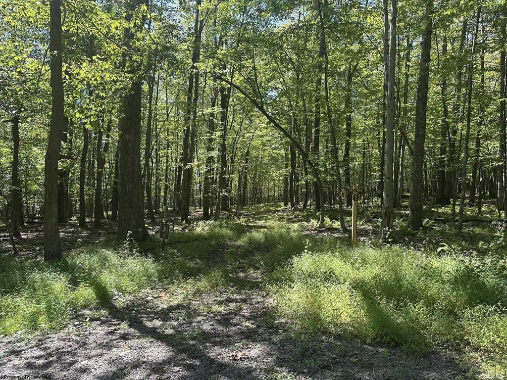 Picture 21