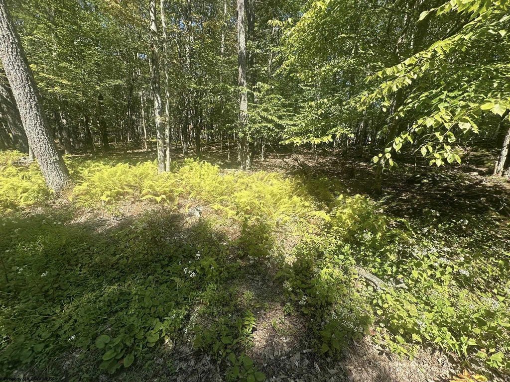 Picture 6
