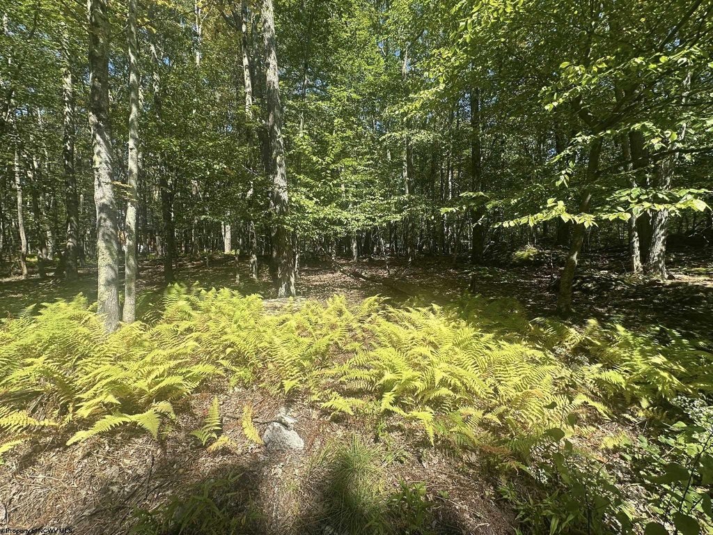 Picture 4