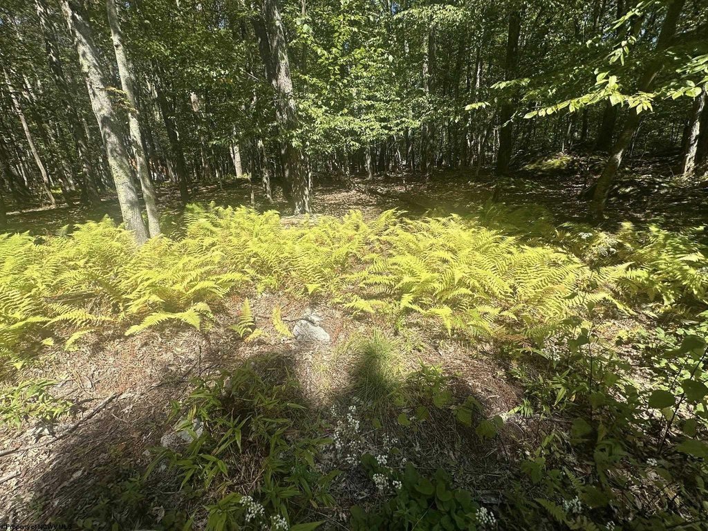 Picture 15