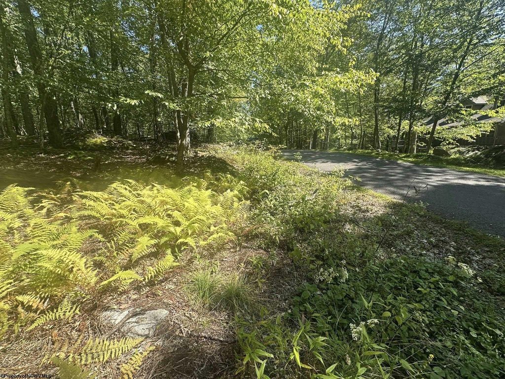 Picture 20