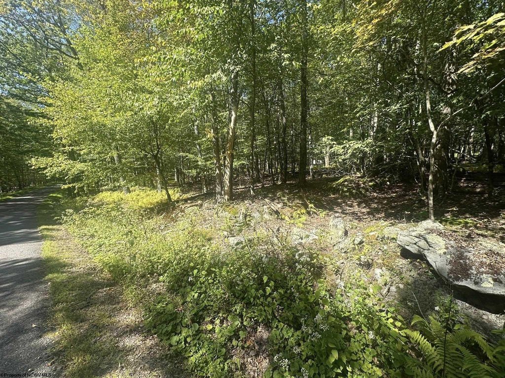 Picture 19