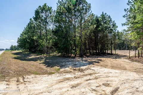 Land, Blackshear, GA