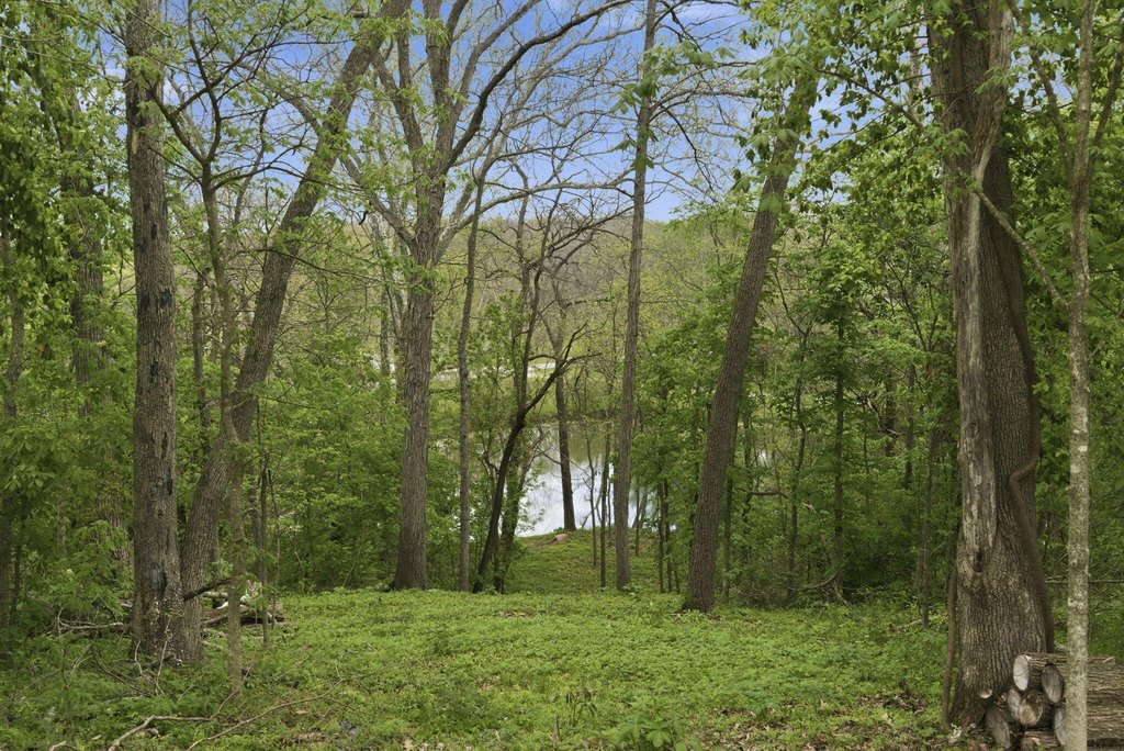 Picture 7