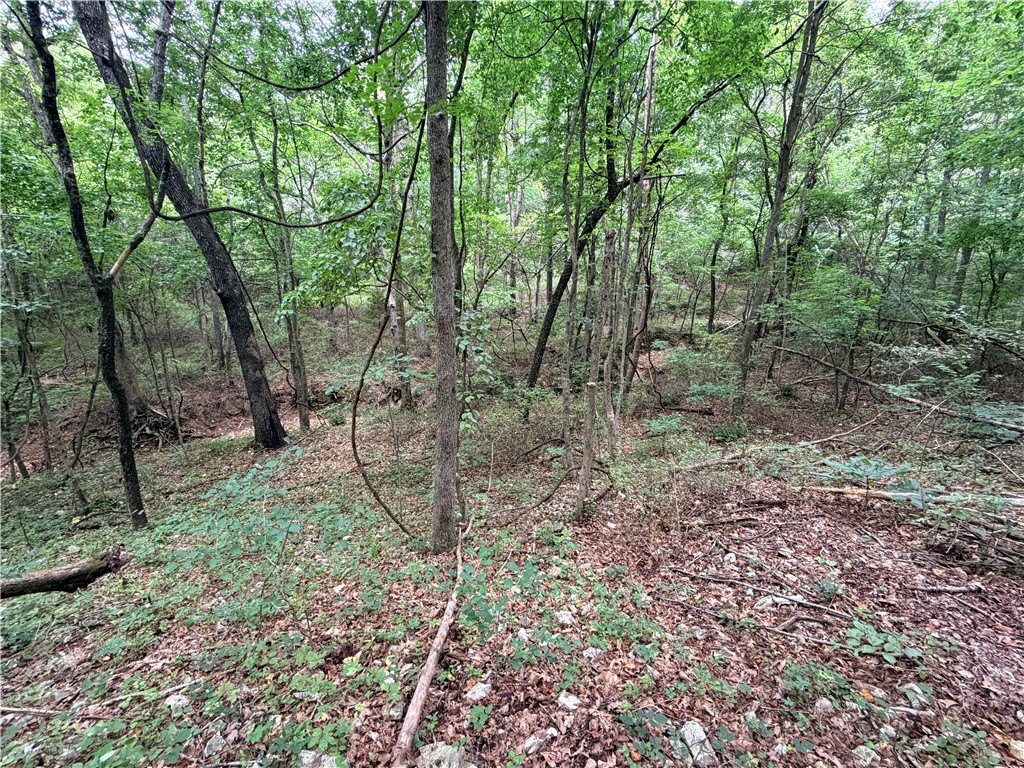 Picture 11