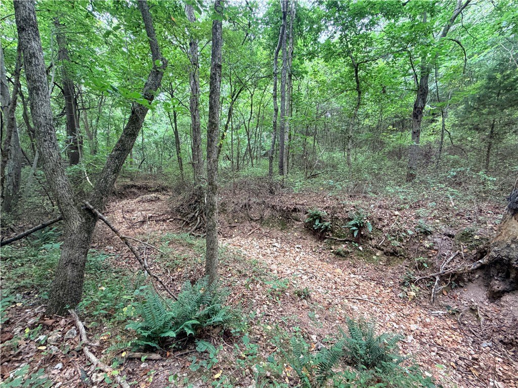 Picture 4