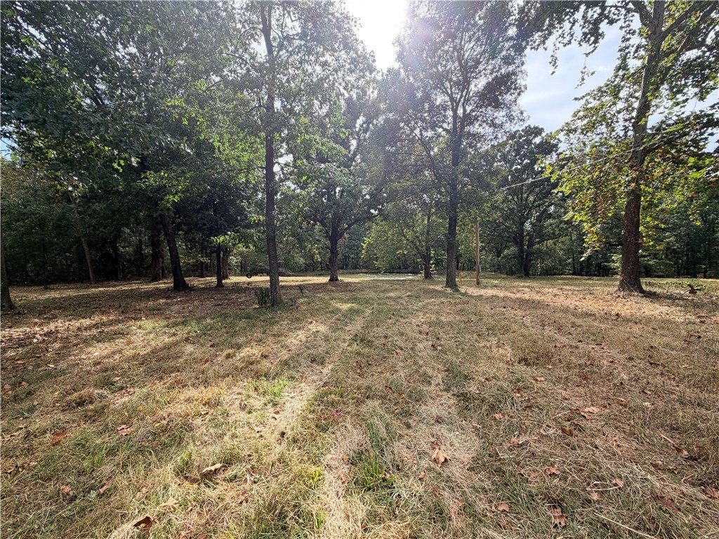Picture 10