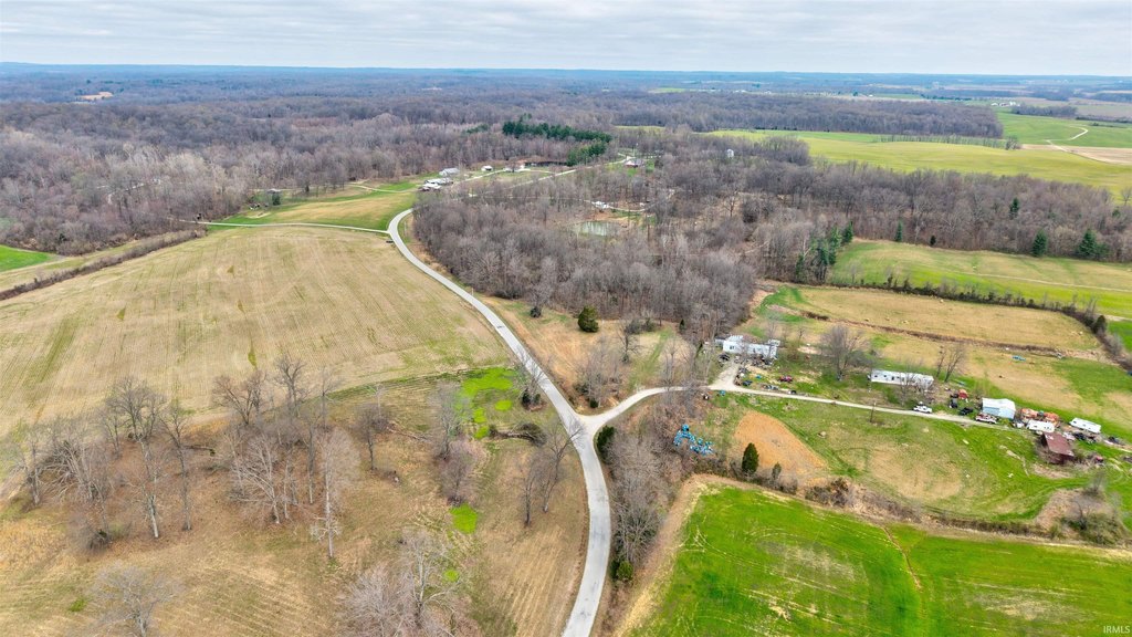 Picture 5