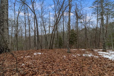Buildable Mountain Land Tract