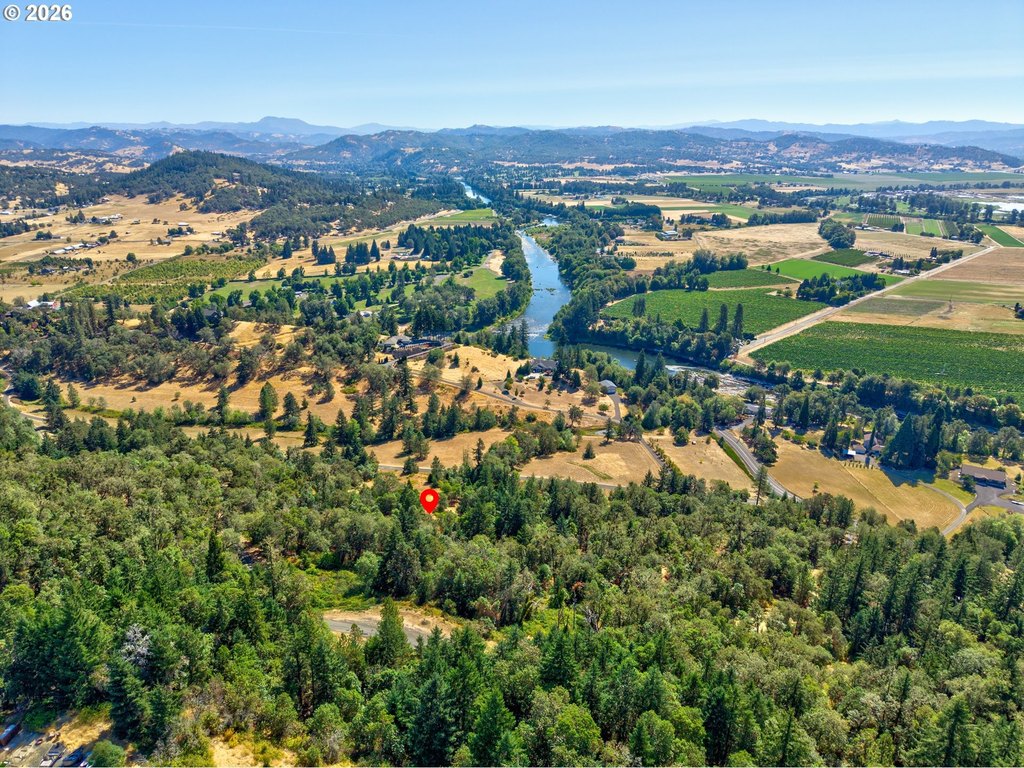 Picture 12