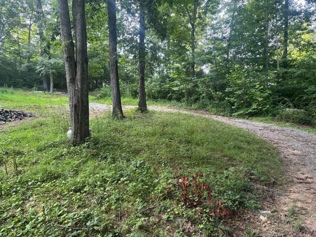 Picture 4