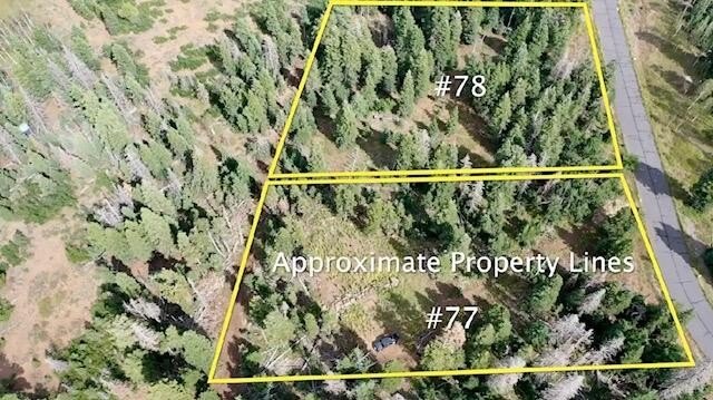 Picture 8