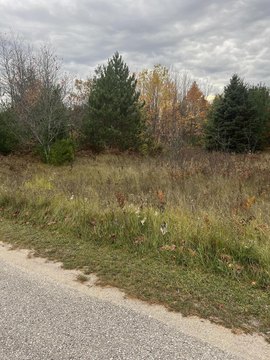 ENGADINE, MI