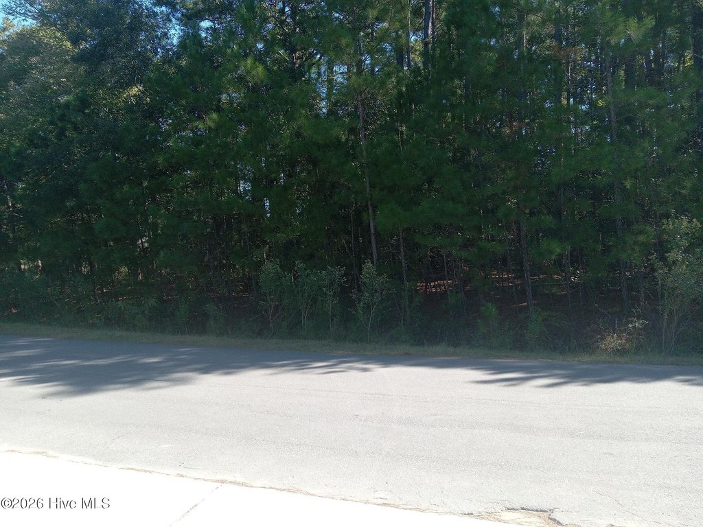 Picture 5