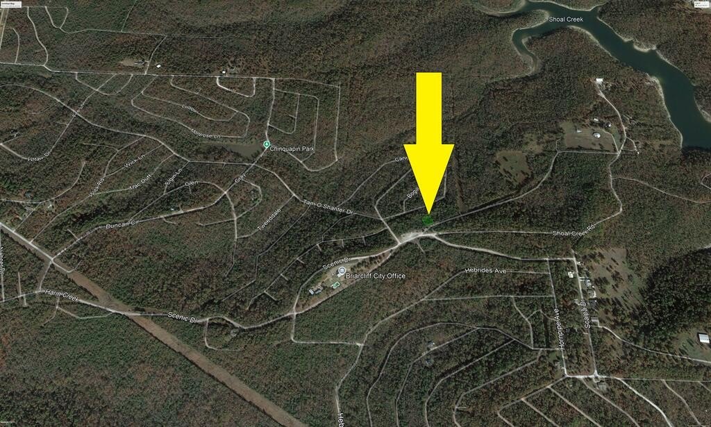 Picture 8