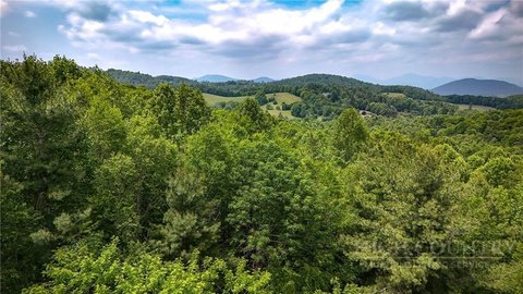 Land in Wapiti Ridge