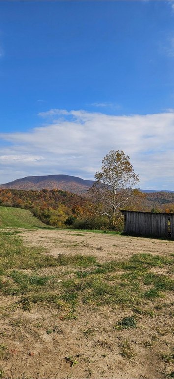 Picture 46