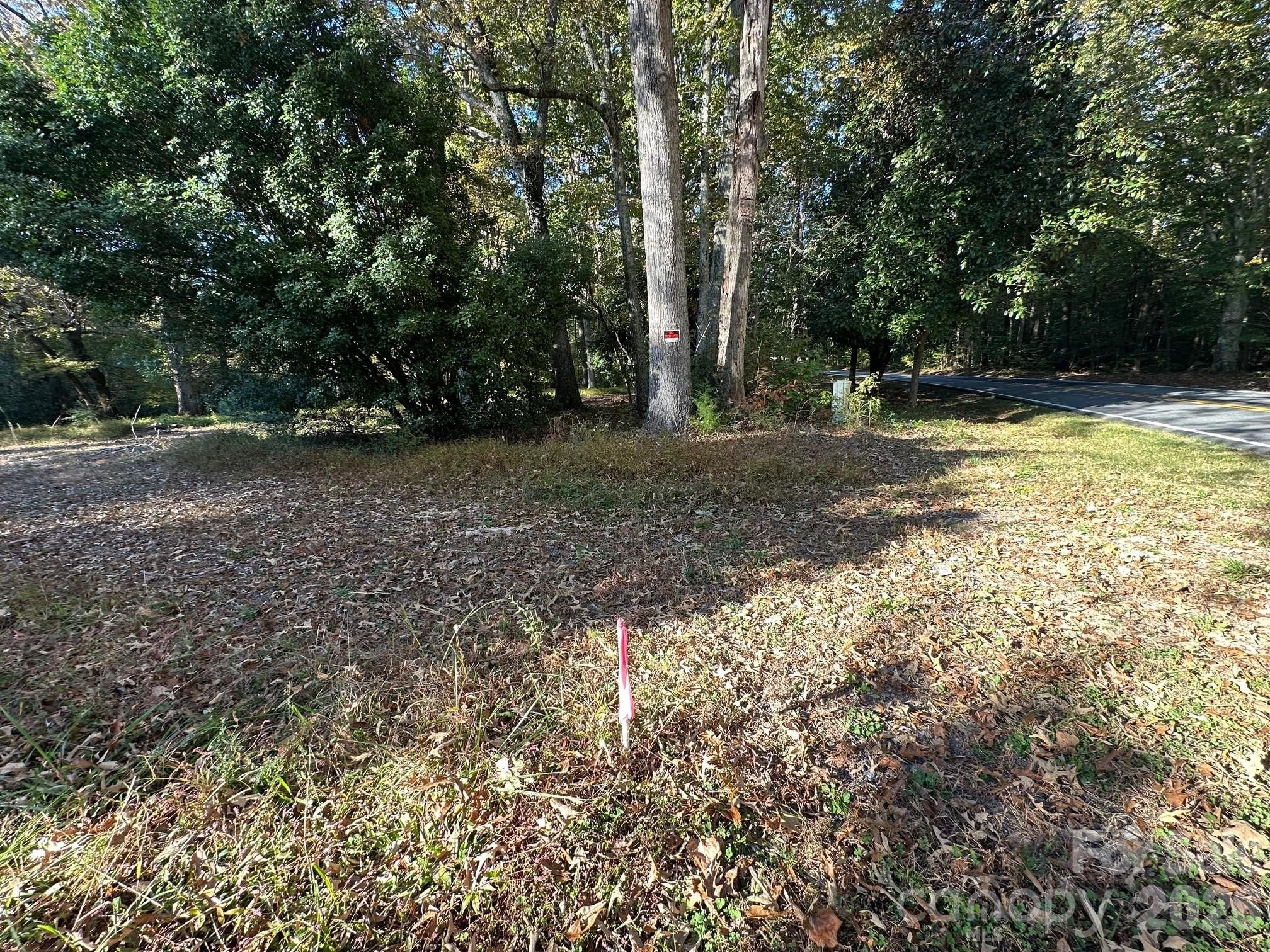 Wooded Land in Yadkinville, NC
