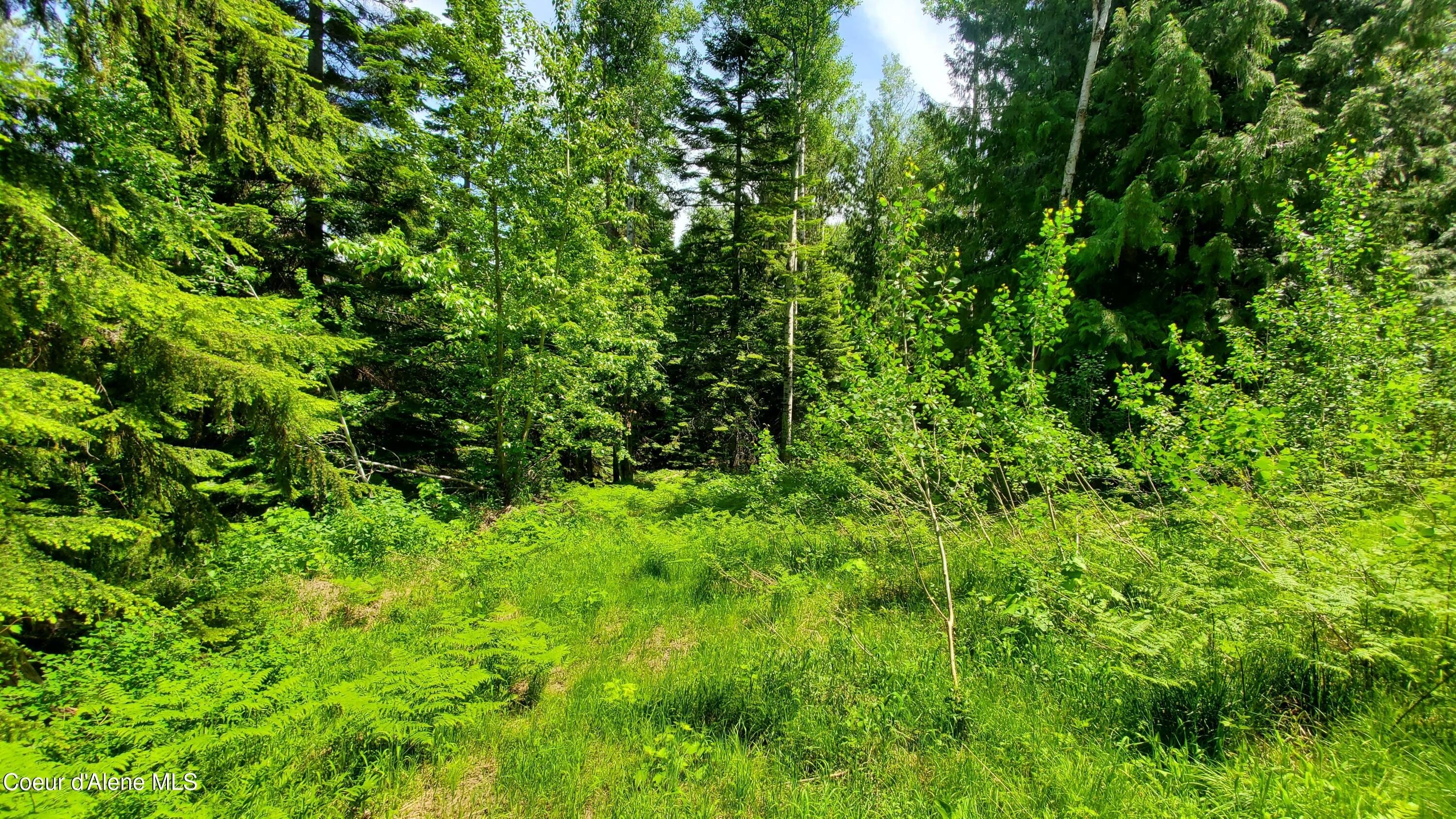 St. Maries Timbered Land
