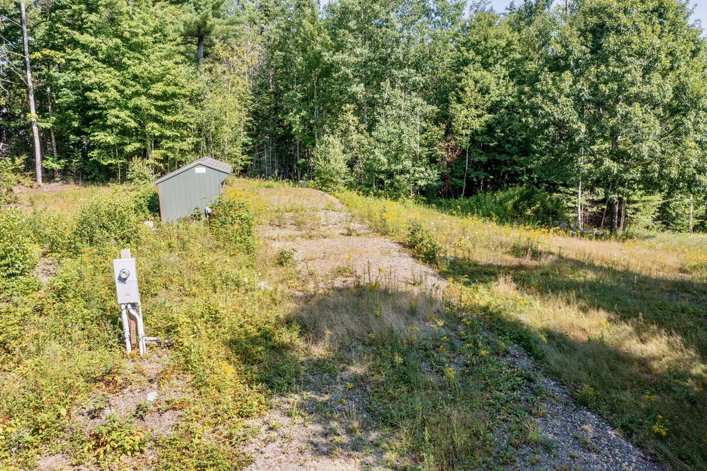 Picture 14