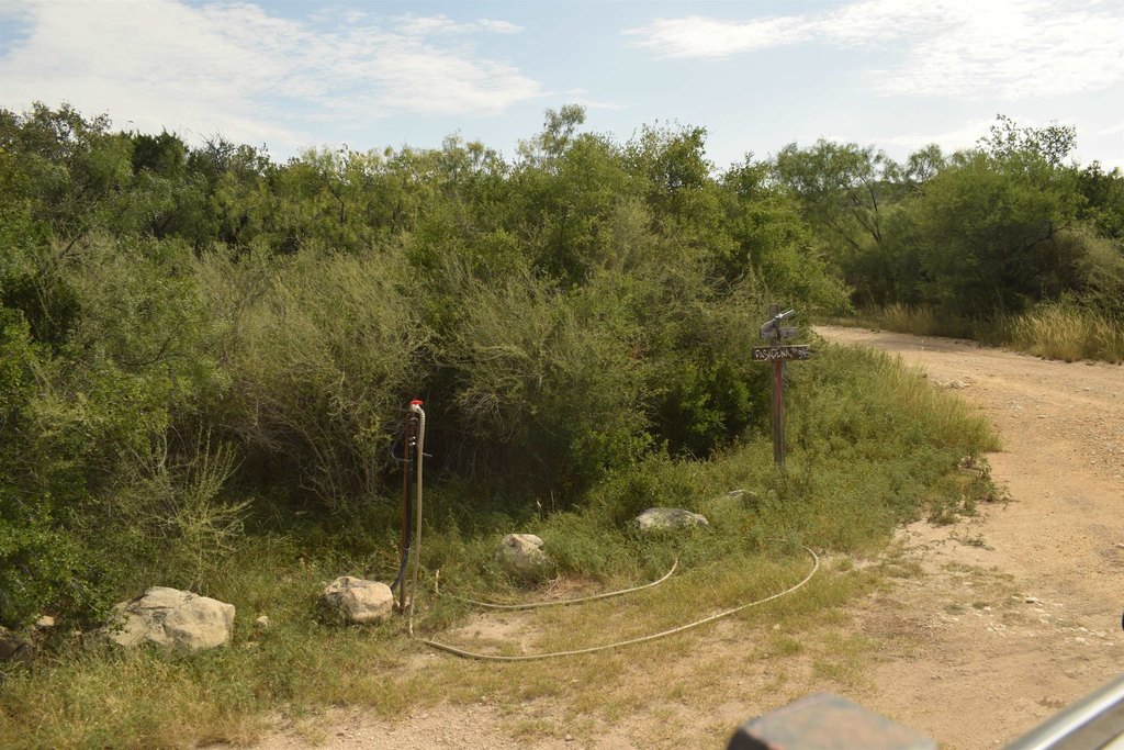 Picture 22