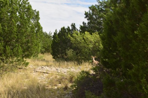 Hunting Ranch with Converted Cabins