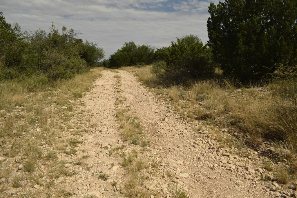 Picture 17