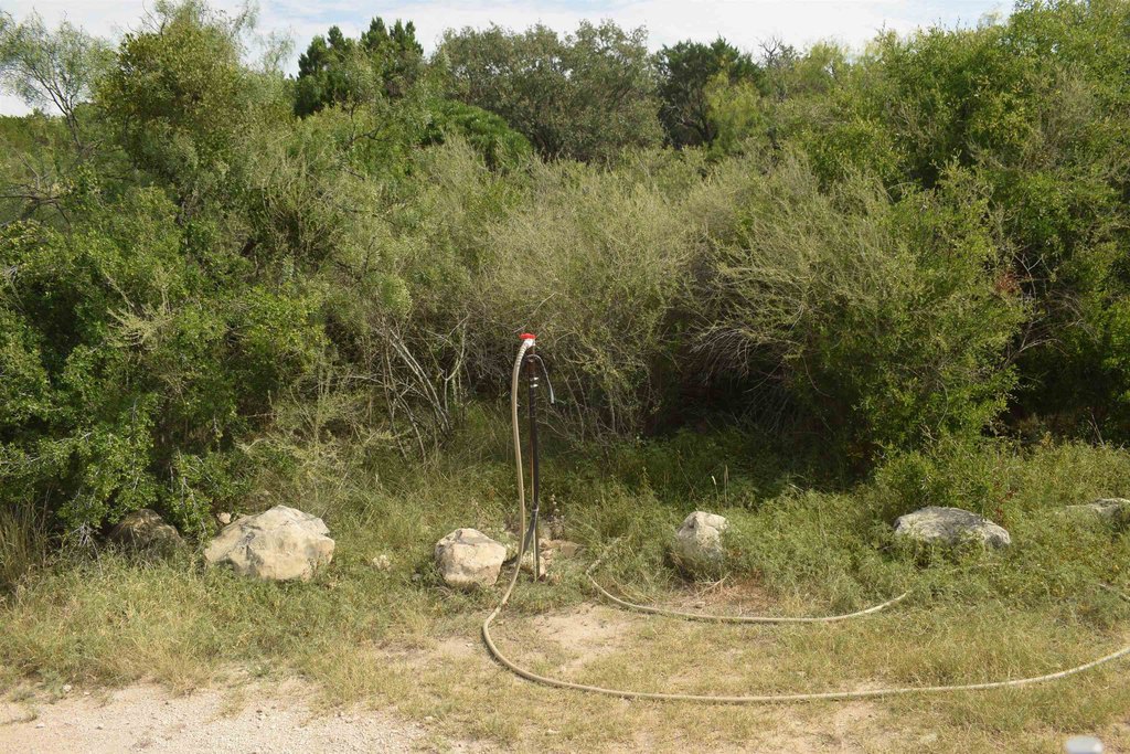 Picture 24