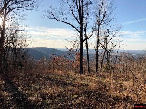 92 Acres Hunting Land, Flippin