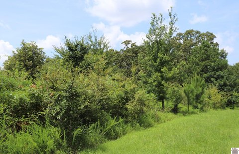 Corner Waterfront Residential Lot