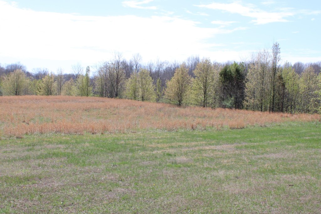 Kuttawa, KY 42055