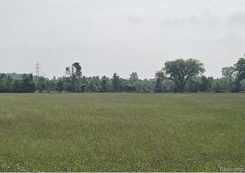 80 Acres Vacant Land