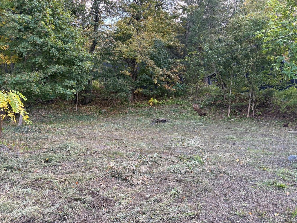 Picture 6