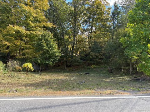 Land, Mount Tremper, NY