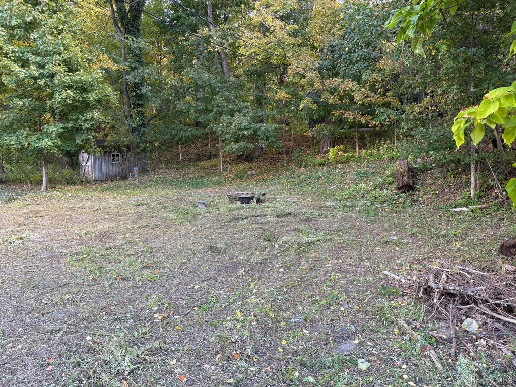 Picture 4