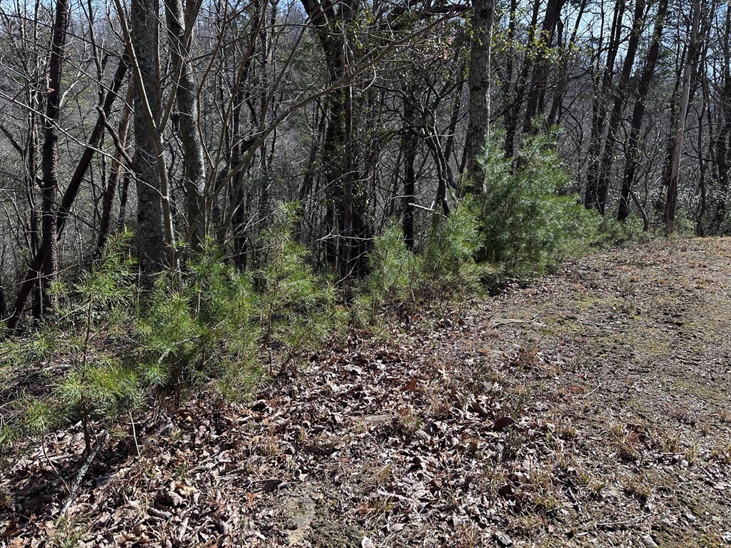 Picture 17
