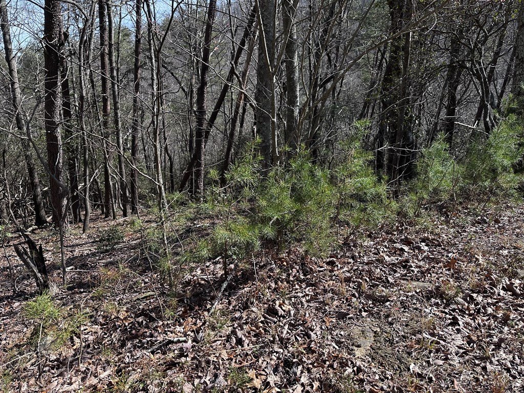 Picture 16