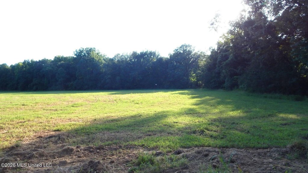 Picture 3