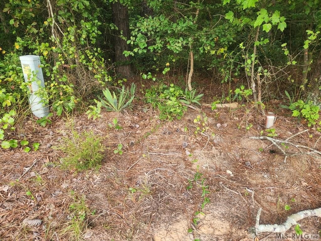 Picture 3