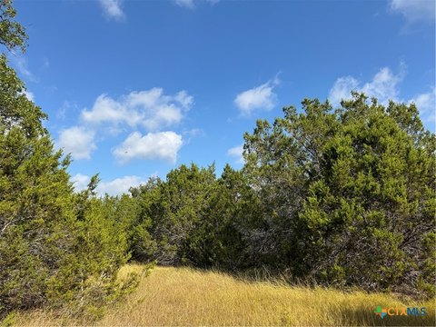 Unrestricted 12-Acre Land in Bertram