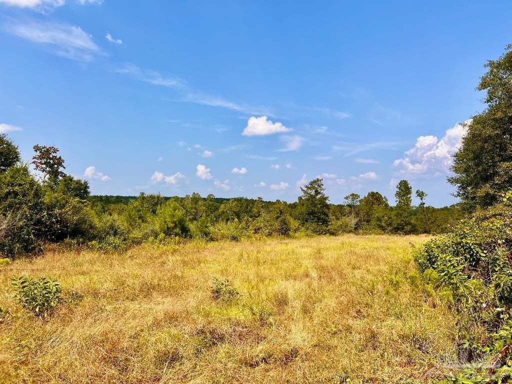 Molino Acreage Estate Parcel