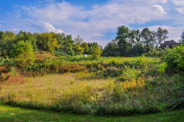 Residential Land in Timberhills