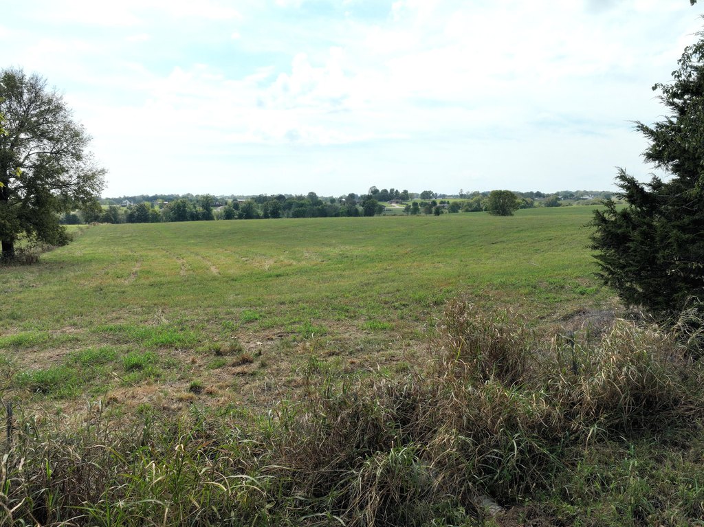 Picture 16