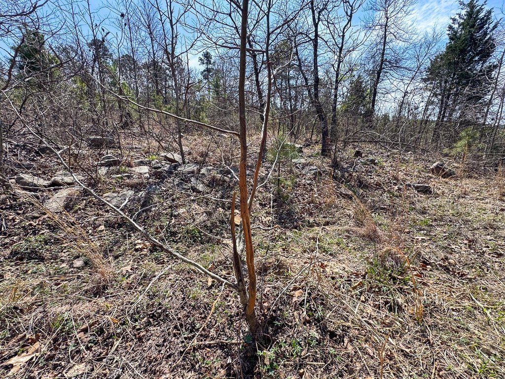 Picture 17