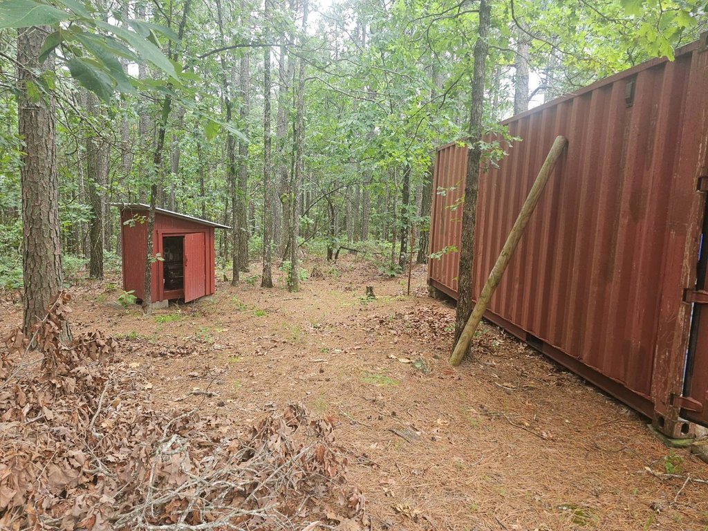 Picture 21