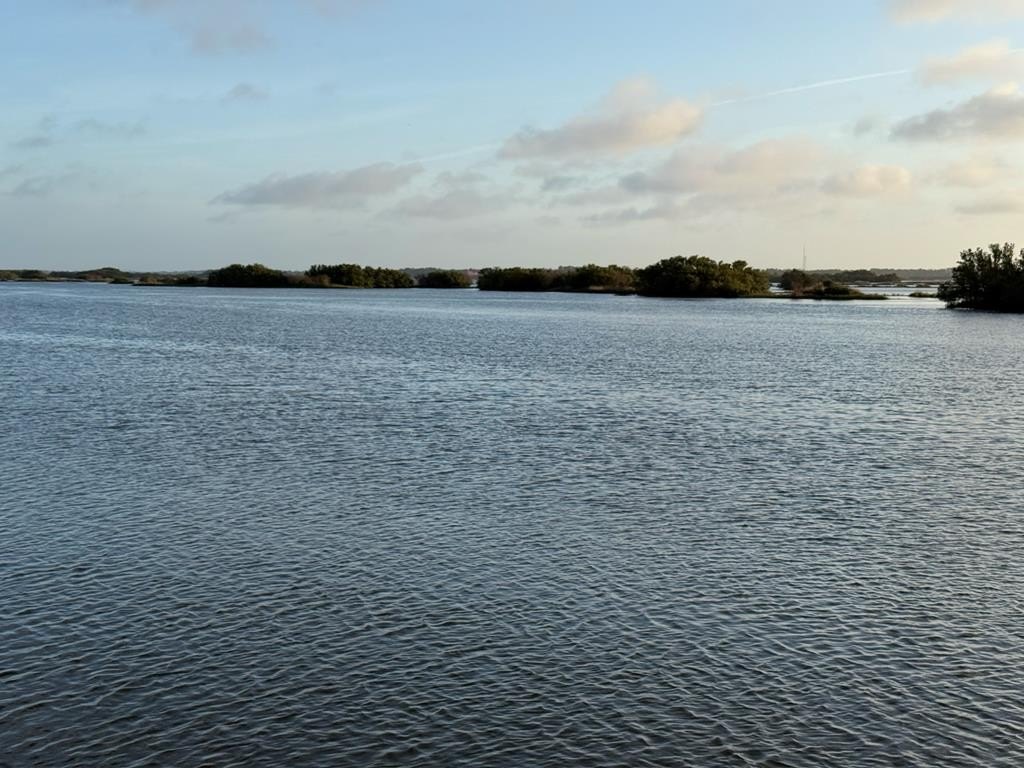 Picture 20