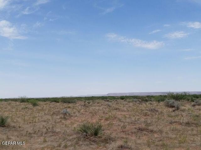 Picture 3