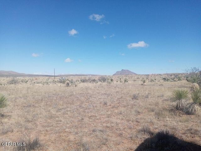Picture 4
